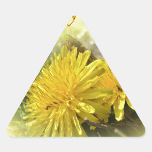 Dandelions - A Sunny Hi Triangle Sticker
