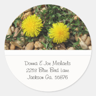 Dandelions Address Stickers