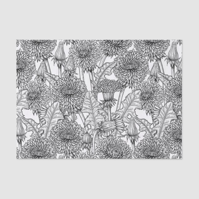 Dandelions, black and white tissue paper (Front)