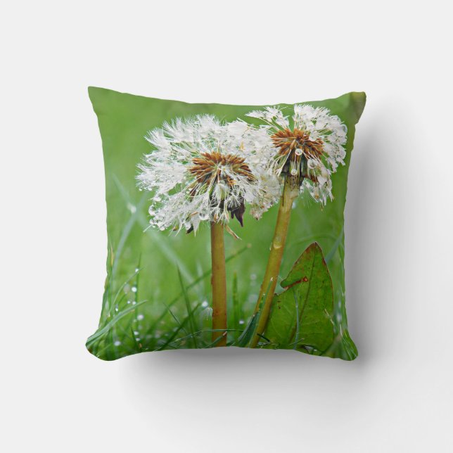 Dandelions by Alexandra Cook Cushion (Front)