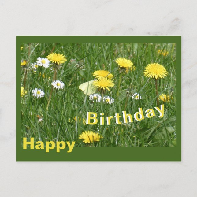 Dandelions & Daisies Grass Field Birthday Postcard (Front)