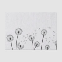 Dandelions Flowers Pappus Spores Grey