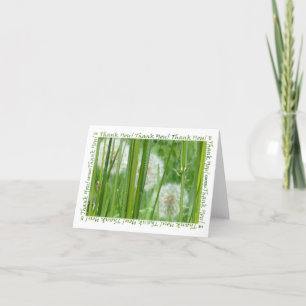 Dandelions in the Green Grass Thank You Card