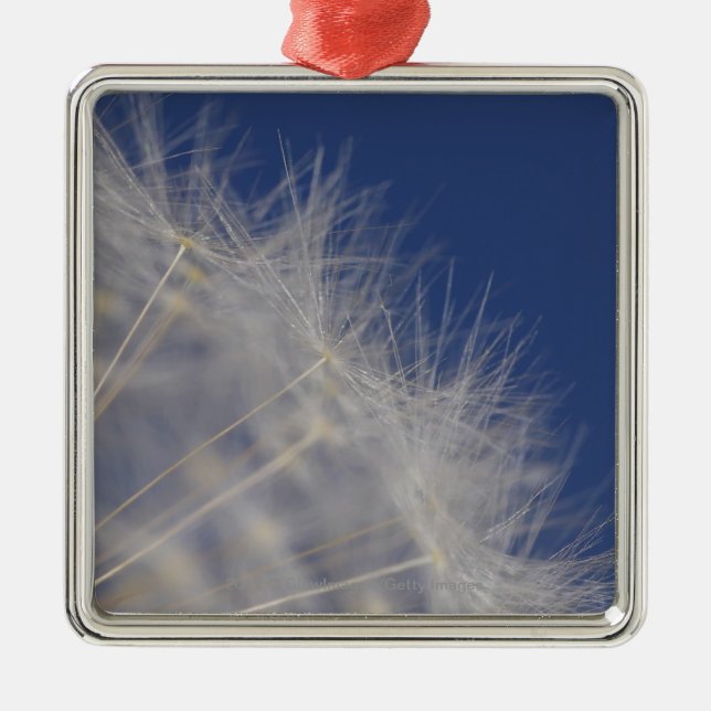 Dandelions Metal Tree Decoration (Front)