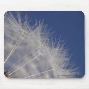 Dandelions Mouse Pad
