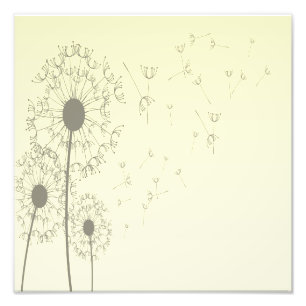 Dandelions Photo Print