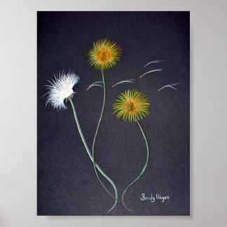 Dandelions Poster Print Large