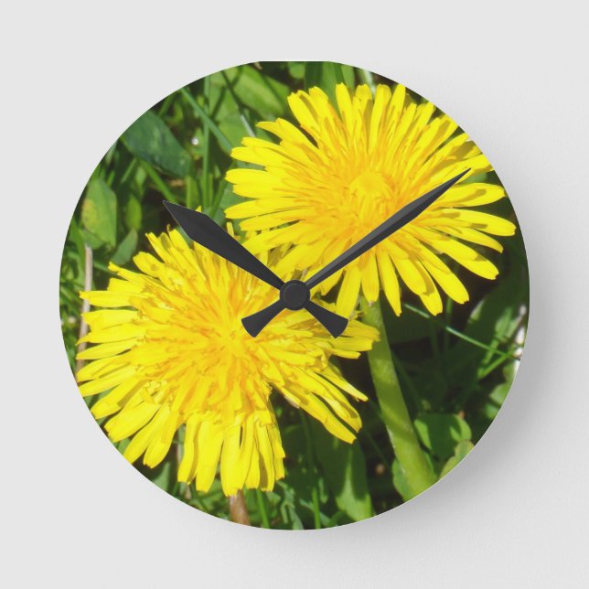 Dandelions Round Clock (Front)