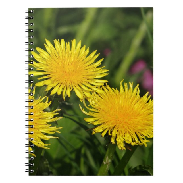 Dandelions Spiral Notebook (Front)