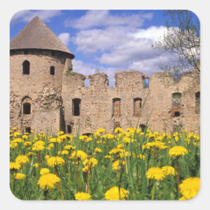 Dandelions surround Cesis Castle in central Square Sticker