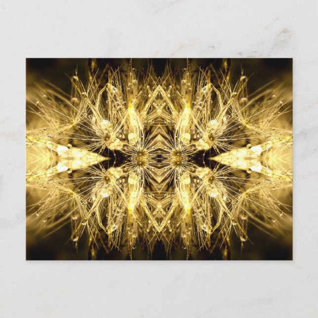 dandiana Postcard (Front)