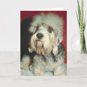 Dandie Dinmont Terrier Card