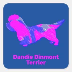 Dandie Dinmont Terrier Crazy Hot Pink and Blue Square Sticker