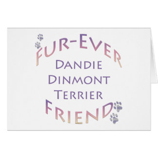 Dandie Dinmont Terrier Furever