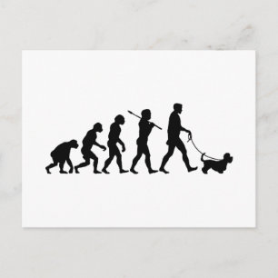 Dandie Dinmont Terrier Postcard