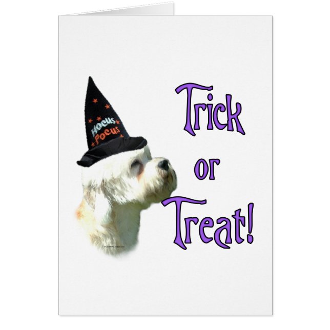 Dandie Dinmont Terrier Trick (Front)