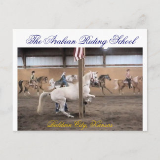 Dandy, Levade Postcard