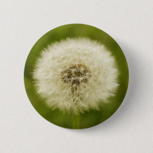 Dandy Lion 6 Cm Round Badge