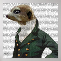 Dandy Meerkat Portrait