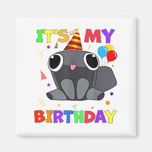 Dandys Pebble Birthday Decoration World For Kids B Magnet
