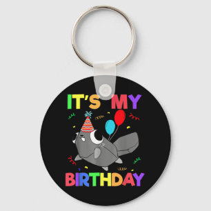 Dandys World Pebble Birthday Decoration For Kids B Key Ring