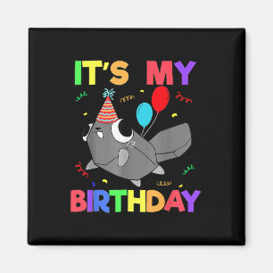 Dandys World Pebble Birthday Decoration For Kids B Magnet