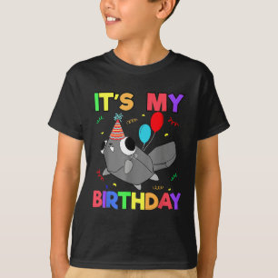 Dandys World Pebble Birthday Decoration For Kids B T-Shirt