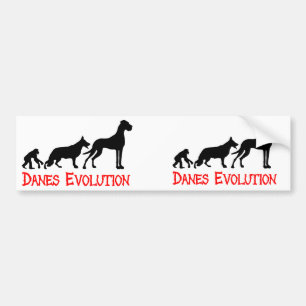 Danes Evolution Bumper Sticker
