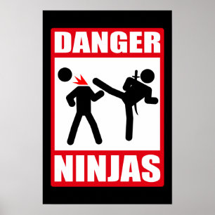 Danger Ninjas Poster