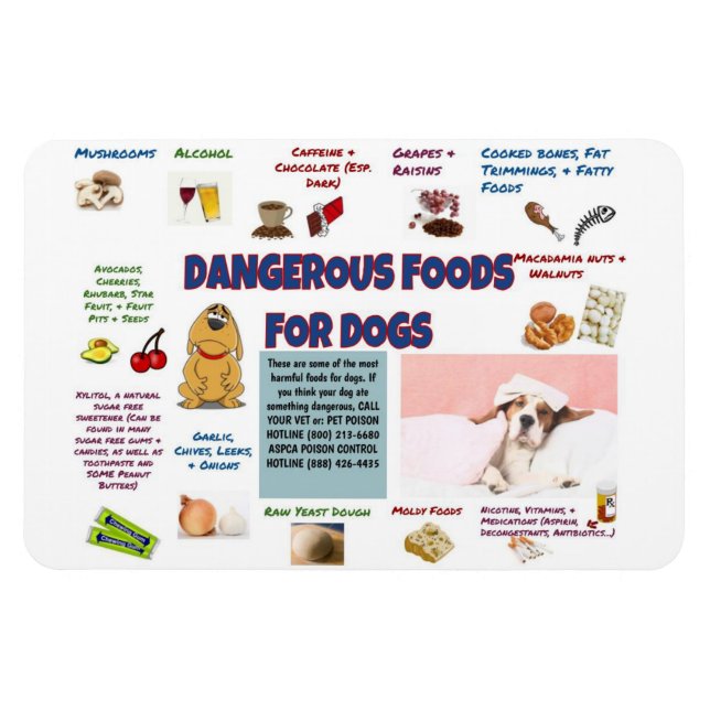 Dangerous Foods for Dogs Refrigerator Magnet (Horizontal)