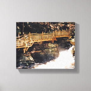 Dangerous Path Canvas Print