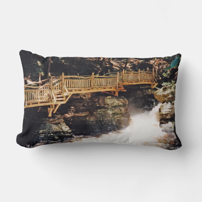 Dangerous Path Lumbar Cushion (Front)