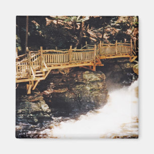 Dangerous Path Magnet