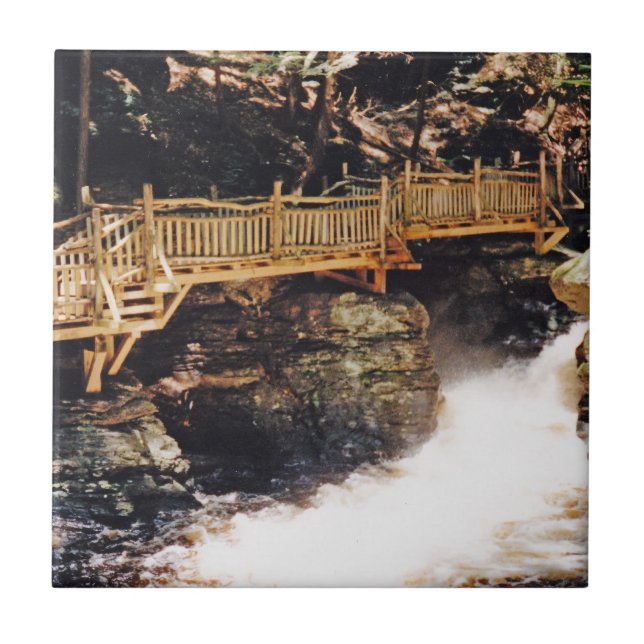 Dangerous Path Tile (Front)