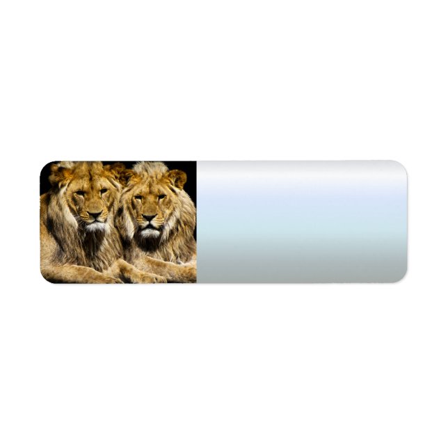 Dangerous Predator Lions (Front)