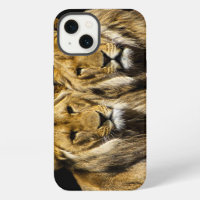 Dangerous Predator Lions
