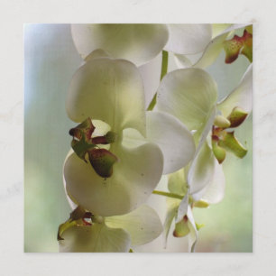 Dangling Orchid  Invitations