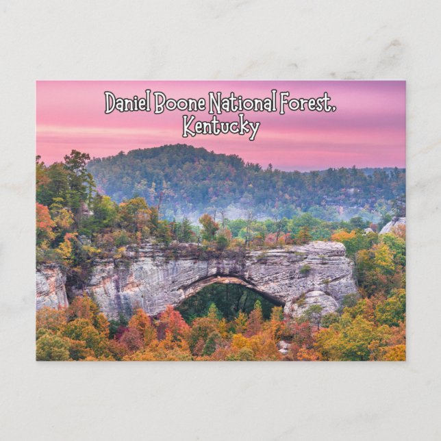 Daniel Boone National Forest Kentucky Postcard (Front)