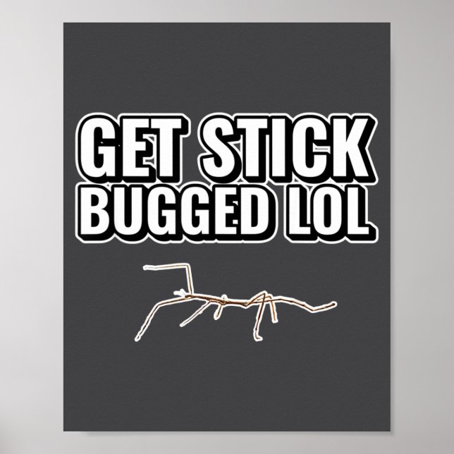 Dank Meme Get Stick Bugged Lol Funny Dancing Bug G Poster (Front)