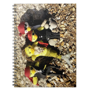 Danni the Mermaid and Pirates Notebook