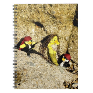 Danni the Mermaid Notebook