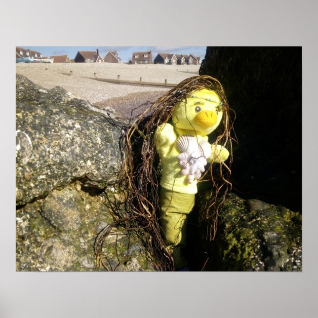 Danni the Mermaid  Poster (Front)