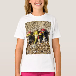 Danni the Mermaid T-Shirt