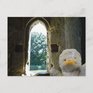 Danny Duck the Mummy Postcard