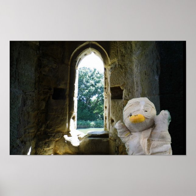 Danny Duck the Mummy Poster (Front)