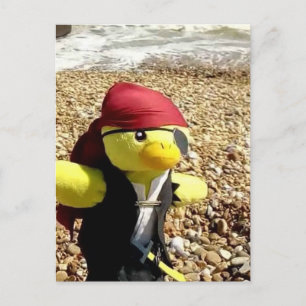 Danny Duck the Pirate Postcard