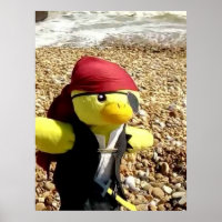 Danny Duck the Pirate
