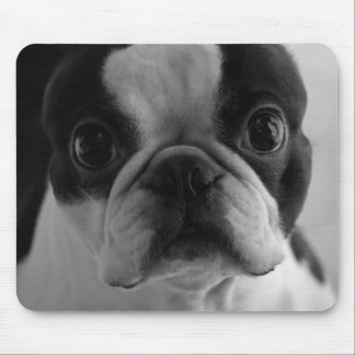 Danson Boston Terriers Mouse Pad
