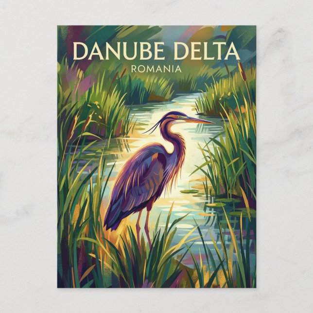 Danube Delta Romania Postcard (Front)