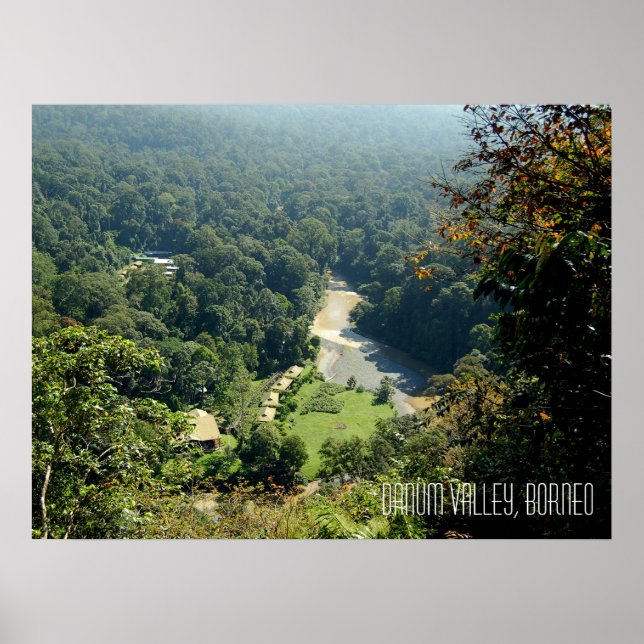 Danum Valley Borneo Rainforest Jungle Scene Poster (Front)